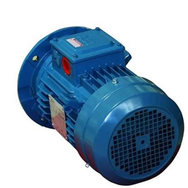 Electric induction motor, AC TEFC type