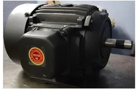 TEFC AC induction electric motor