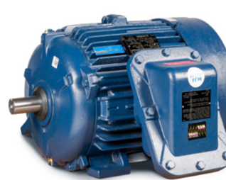 Three-phase AC induction motor, TEFC type